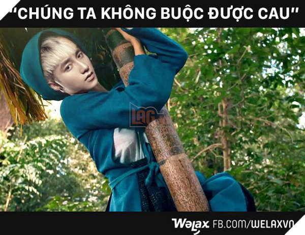 6-bo-phim-hot-nhat-2016-trong-linh-vuc-anh-che-1
