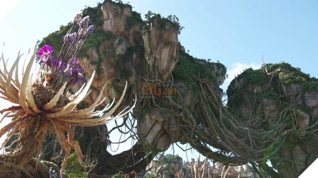 Còn đây là hình ảnh ngoài đời thật tại Disney World
