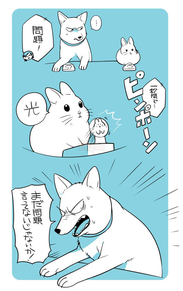 Ngạc nhiên với loạt ảnh khi các nhân vật trong anime bỗng nhiên hóa thành thỏ