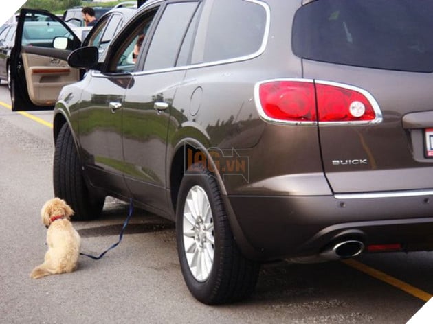 16 khoảnh khắc chứng tỏ bán xăng cho phụ nữ đúng là tội ác của nhân loại - Ảnh 29. 16 khoảnh khắc chứng tỏ bán xăng cho phụ nữ đúng là tội ác của nhân loại - Ảnh 29.