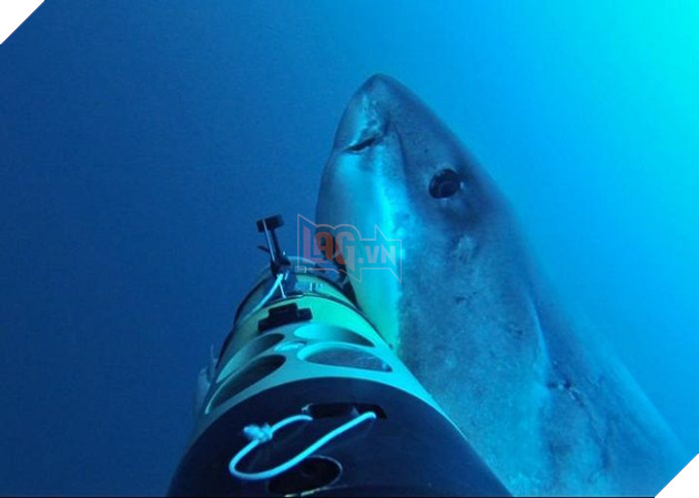 Related image