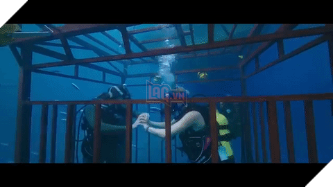 “47 Meters Down”: Cá mập và tình chị em "nắm nem ba đồng"