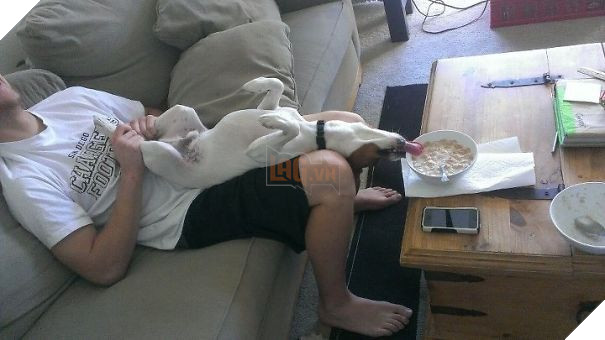 I Was Wrestling With My Dog And Forgot That He Never Misses An Opportunity To Eat