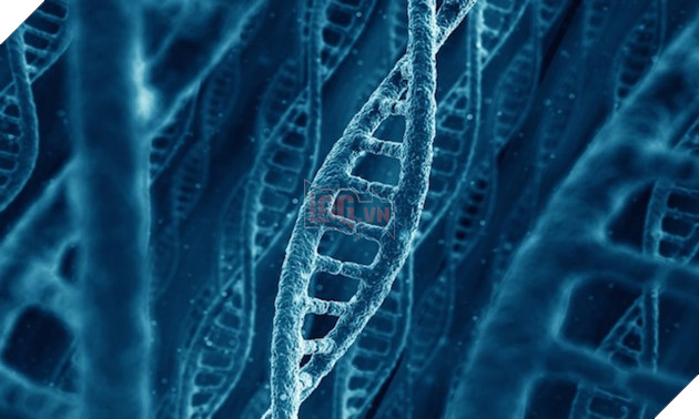 Ít nhất 75% DNA của con người là rác, nhưng cũng bởi vậy mà chúng ta còn tồn tại