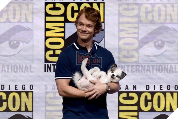 Theon Greyjoy của Alfie Allen thì đem hẳn một em cún tên là Abby cho ngồi vào lòng