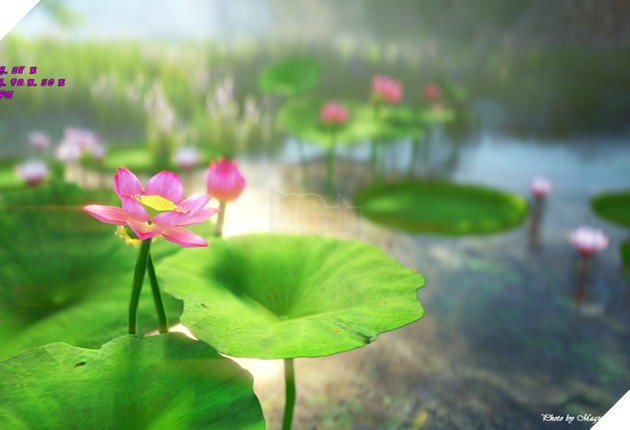 Không nghi ngờ gì nữa, đây là game kiếm hiệp đẹp nhất lịch sử