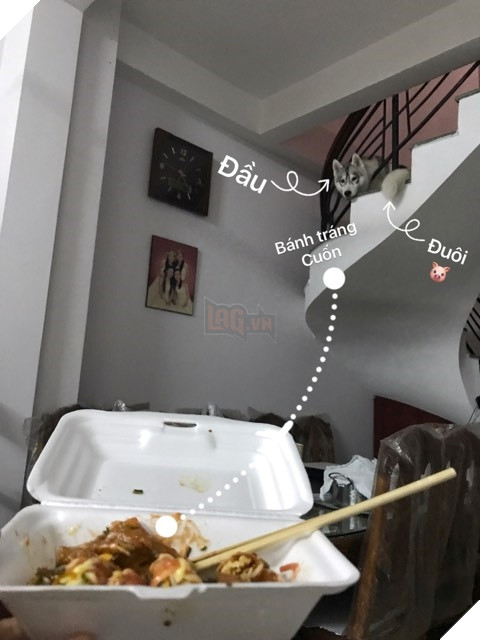 Bamboo háu ăn lắm đấy nhé.