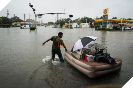 Siêu bão Harvey: Ấn tượng hình ảnh chó, mèo được cứu ra khỏi vùng lũ - Ảnh 5 Sieu bao Harvey: An tuong hinh anh cho, meo duoc cuu ra khoi vung lu - Anh 5