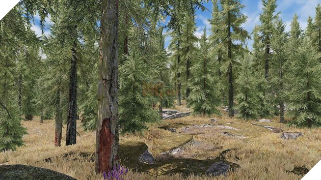 Modder ghép cây ngoài đời thực vào trong game Skyrim, kết quả vô cùng ấn tượng