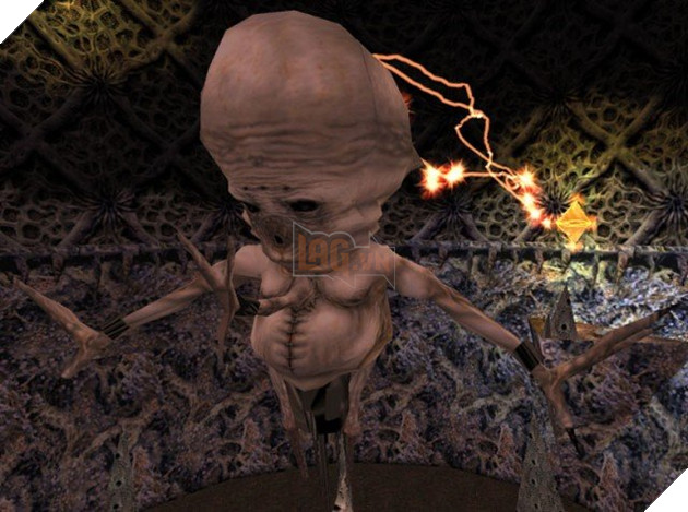 Half-Life