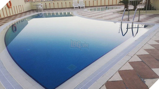 20 khoảnh khắc hoàn hảo nhất khiến người khó tính nhất cũng phải gật gù thỏa mãn - Ảnh 1. 20 khoảnh khắc hoàn hảo nhất khiến người khó tính nhất cũng phải gật gù thỏa mãn - Ảnh 1.