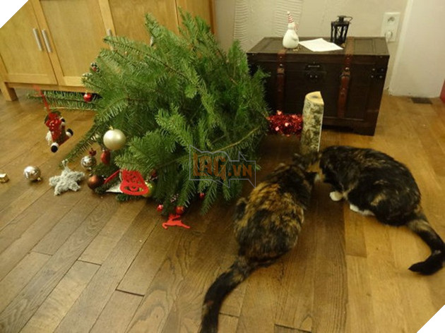 17 con boss quái thai chả bắt nạt được ai, quay ra cà đểu cây thông Noel - Ảnh 15. 17 con boss quái thai chả bắt nạt được ai, quay ra cà đểu cây thông Noel - Ảnh 15.