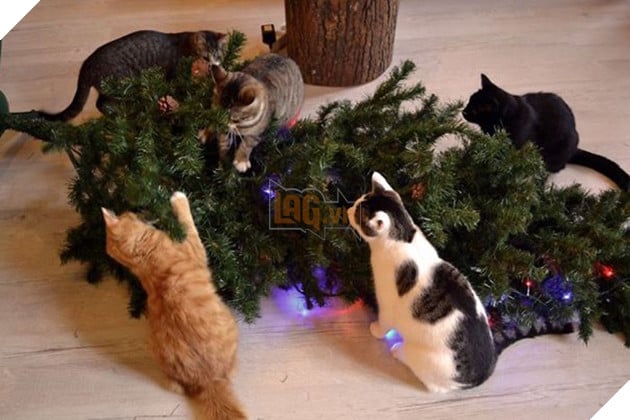 17 con boss quái thai chả bắt nạt được ai, quay ra cà đểu cây thông Noel - Ảnh 19. 17 con boss quái thai chả bắt nạt được ai, quay ra cà đểu cây thông Noel - Ảnh 19.