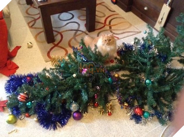 17 con boss quái thai chả bắt nạt được ai, quay ra cà đểu cây thông Noel - Ảnh 27. 17 con boss quái thai chả bắt nạt được ai, quay ra cà đểu cây thông Noel - Ảnh 27.