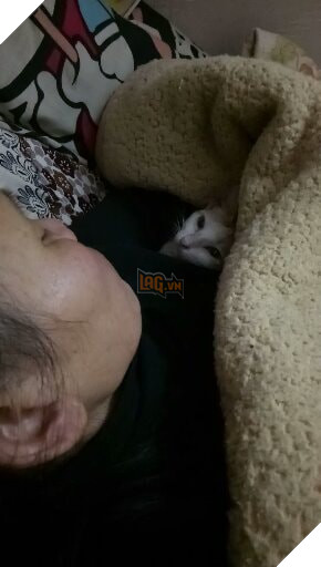 Cả thế giới ra mà xem đám boss đang cướp hết bố mẹ của chúng ta rồi này - Ảnh 3. Cả thế giới ra mà xem đám boss đang cướp hết bố mẹ của chúng ta rồi này - Ảnh 3.