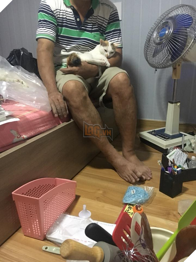 Cả thế giới ra mà xem đám boss đang cướp hết bố mẹ của chúng ta rồi này - Ảnh 5. Cả thế giới ra mà xem đám boss đang cướp hết bố mẹ của chúng ta rồi này - Ảnh 5.