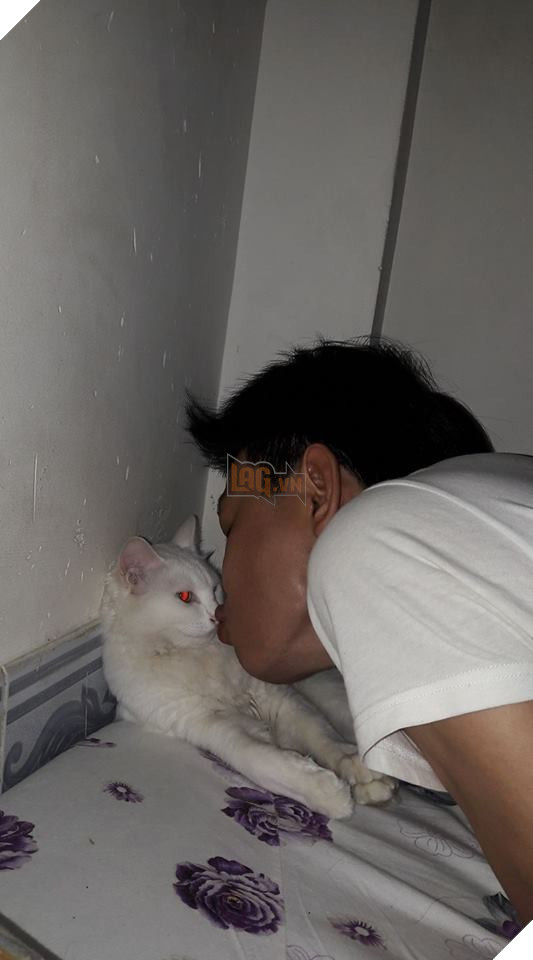 Cả thế giới ra mà xem đám boss đang cướp hết bố mẹ của chúng ta rồi này - Ảnh 7. Cả thế giới ra mà xem đám boss đang cướp hết bố mẹ của chúng ta rồi này - Ảnh 7.
