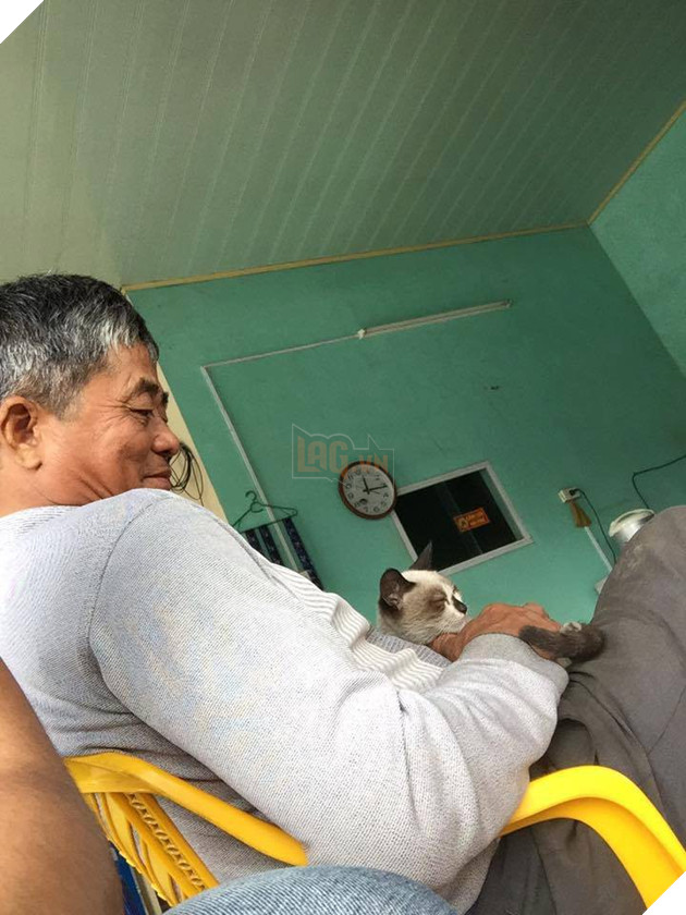 Cả thế giới ra mà xem đám boss đang cướp hết bố mẹ của chúng ta rồi này - Ảnh 9. Cả thế giới ra mà xem đám boss đang cướp hết bố mẹ của chúng ta rồi này - Ảnh 9.