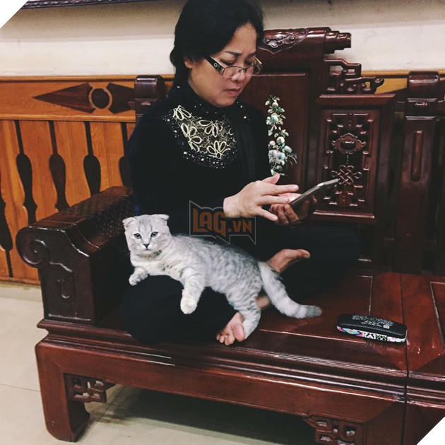Cả thế giới ra mà xem đám boss đang cướp hết bố mẹ của chúng ta rồi này - Ảnh 12. Cả thế giới ra mà xem đám boss đang cướp hết bố mẹ của chúng ta rồi này - Ảnh 12.