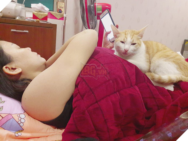 Cả thế giới ra mà xem đám boss đang cướp hết bố mẹ của chúng ta rồi này - Ảnh 14. Cả thế giới ra mà xem đám boss đang cướp hết bố mẹ của chúng ta rồi này - Ảnh 14.