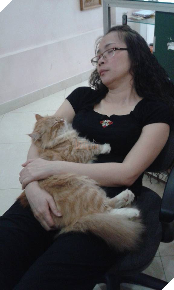 Cả thế giới ra mà xem đám boss đang cướp hết bố mẹ của chúng ta rồi này - Ảnh 21. Cả thế giới ra mà xem đám boss đang cướp hết bố mẹ của chúng ta rồi này - Ảnh 21.