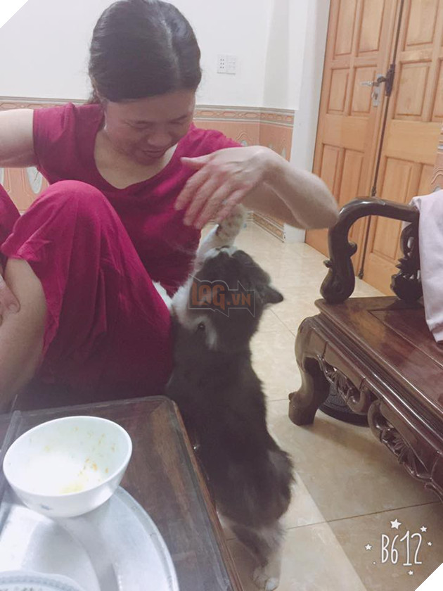 Cả thế giới ra mà xem đám boss đang cướp hết bố mẹ của chúng ta rồi này - Ảnh 23. Cả thế giới ra mà xem đám boss đang cướp hết bố mẹ của chúng ta rồi này - Ảnh 23.