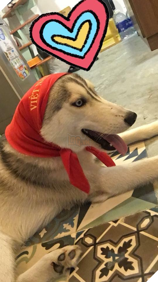 Chân dung 14 boss đi bão còn hăng hái hơn cả đám con sen - Ảnh 13. Chân dung 14 boss đi bão còn hăng hái hơn cả đám con sen - Ảnh 13.