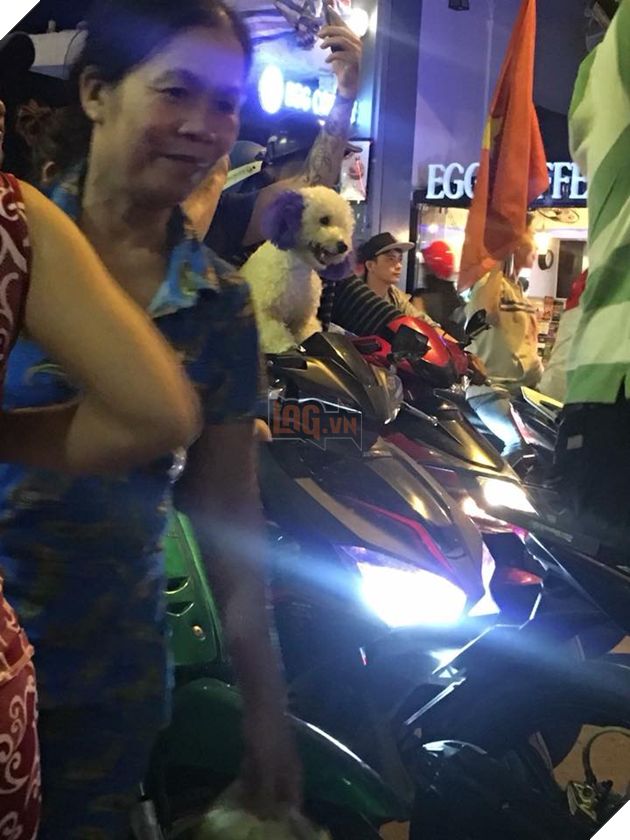 Chân dung 14 boss đi bão còn hăng hái hơn cả đám con sen - Ảnh 21. Chân dung 14 boss đi bão còn hăng hái hơn cả đám con sen - Ảnh 21.