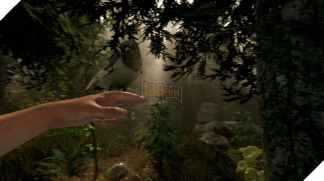 Game sinh tồn nổi tiếng The Forest cuối cùng cũng sắp ra bản chính thức, kết thúc 4 năm thử nghiệm