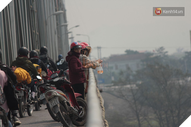 Người dân vô tư ném cá chép từ trên cầu cao hàng chục mét xuống sông để phóng sinh trong ngày ông Công ông Táo - Ảnh 2. Người dân vô tư ném cá chép từ trên cầu cao hàng chục mét xuống sông để phóng sinh trong ngày ông Công ông Táo - Ảnh 2.