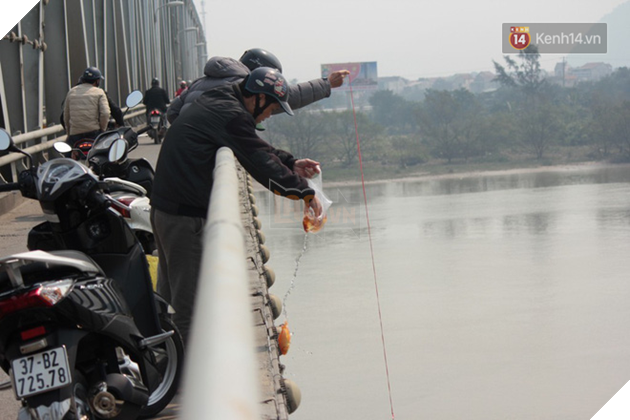 Người dân vô tư ném cá chép từ trên cầu cao hàng chục mét xuống sông để phóng sinh trong ngày ông Công ông Táo - Ảnh 5. Người dân vô tư ném cá chép từ trên cầu cao hàng chục mét xuống sông để phóng sinh trong ngày ông Công ông Táo - Ảnh 5.