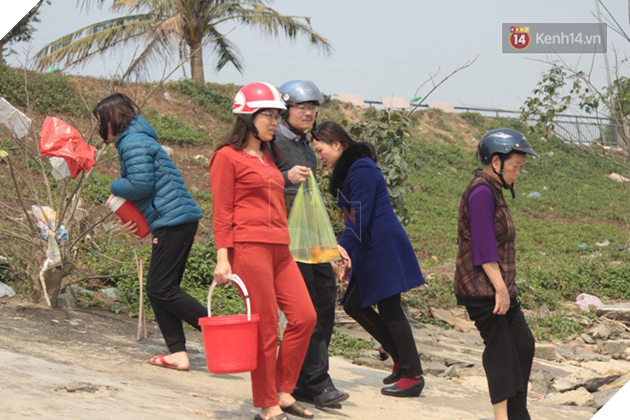 Người dân vô tư ném cá chép từ trên cầu cao hàng chục mét xuống sông để phóng sinh trong ngày ông Công ông Táo - Ảnh 6. Người dân vô tư ném cá chép từ trên cầu cao hàng chục mét xuống sông để phóng sinh trong ngày ông Công ông Táo - Ảnh 6.