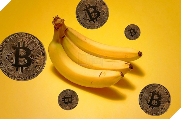 Bananacoin - Đồng tiền chuối, có trị giá bằng 1 cân chuối - Ảnh 1. Bananacoin - Đồng tiền chuối, có trị giá bằng 1 cân chuối - Ảnh 1.