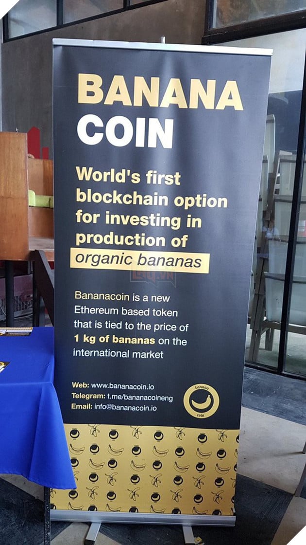 Bananacoin - Đồng tiền chuối, có trị giá bằng 1 cân chuối - Ảnh 3. Bananacoin - Đồng tiền chuối, có trị giá bằng 1 cân chuối - Ảnh 3.