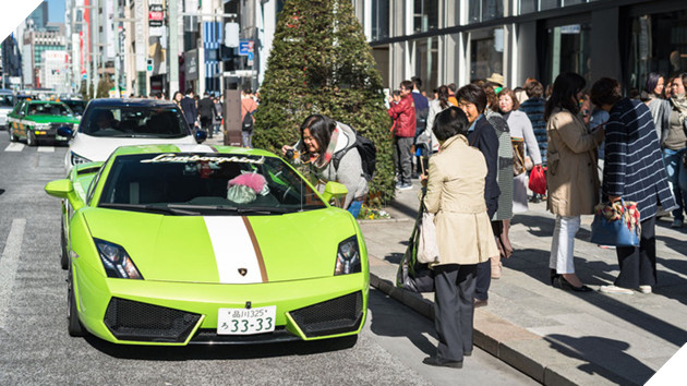 Gặp Torako - "Hoàng thượng" mèo sở hữu cả Lamborghini khiến dân Nhật mắt tròn mắt dẹt