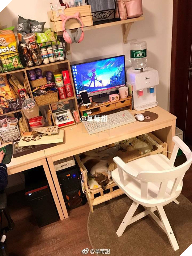 Khi phòng ngủ biến thành siêu thị mini thì chẳng cần đi đâu nữa, cả thế giới đã ở đây rồi - Ảnh 1. Khi phòng ngủ biến thành siêu thị mini thì chẳng cần đi đâu nữa, cả thế giới đã ở đây rồi - Ảnh 1.