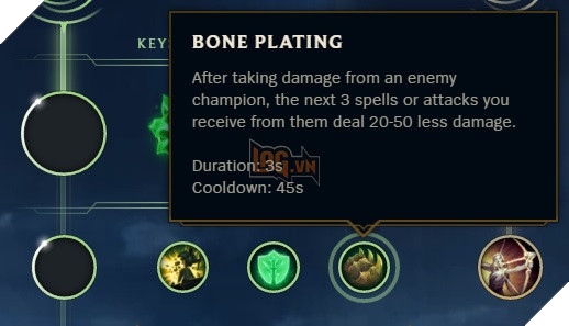 bone (1)