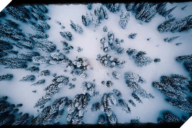 pubg-winter-map-dia-hinh-1