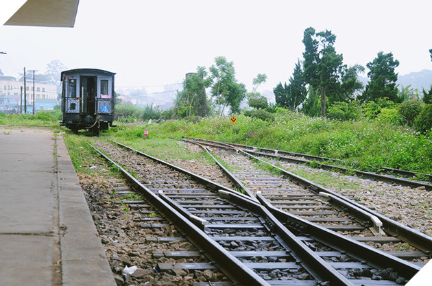 5 điểm chụp hình ở Đà Lạt lên phim 'Tháng năm rực rỡ'