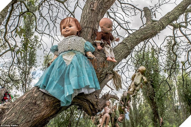 Keeping watch: 'Thousands' of dolls hang from the trees in the woods known as the Isla de las Munecas, and hundreds more are hidden among the overgrown grass