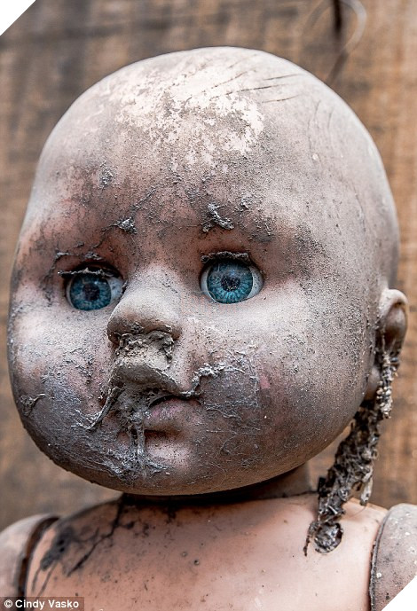 Haunting: The dolls he hung from the trees have been decaying in the Mexican woods for 14 years, and many have been infested by insects