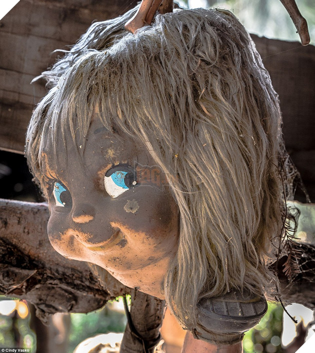 A photographer who traveled to the island this year told MailOnline how the sight of 'thousands of dolls hanging from trees on the tiny island' was a 'disturbing sight'
