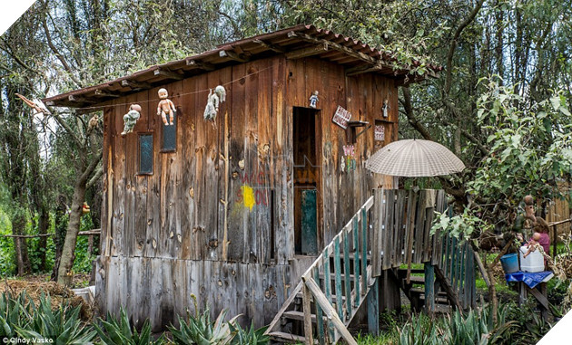Frightening: His home in the woods (pictured) was far removed from civilisation but he still claimed he heard whispers, footsteps and the chilling sound of a woman wailing in the darkness