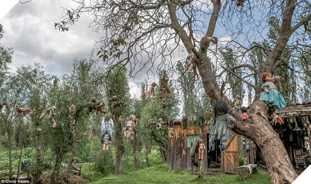 Haunted: A reclusive Mexican artist began to hang dolls from the trees (pictured) in a forest to appease the ghost of a young girl who - legend has it - drowned in a nearby canal