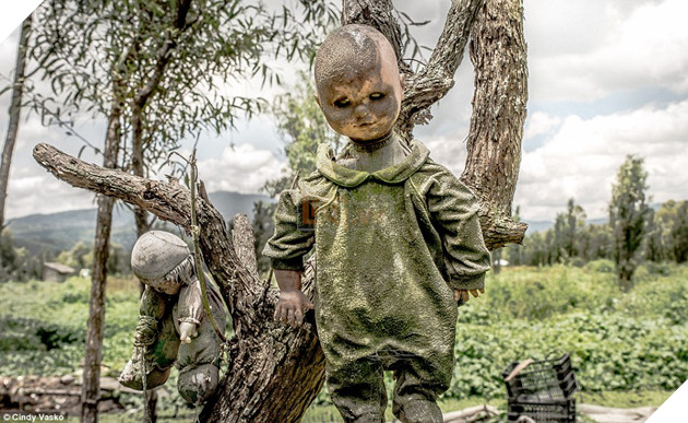 Tribute: Barrera discovered a doll floating in the canal where she died and hung it from a tree as a mark of respect to the deceased girl