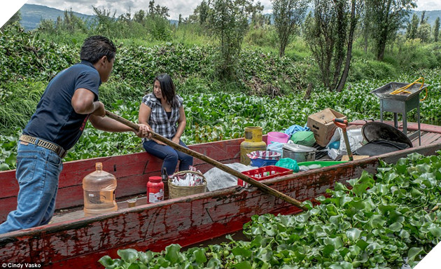Adventure: It takes a two-hour on a trajinera (pictured) - a colorful, wooden gondola - to reach the the chinampas where Barrera once lived