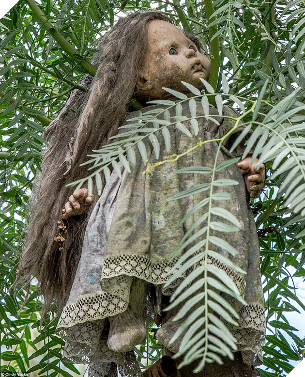 Appeasement: Barrera began 'decorating' the site with hundreds of dolls to please her ghost - hanging them from trees (pictured) and from the wire fencing around his house