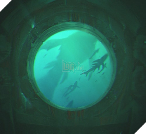 6540_2 (1)