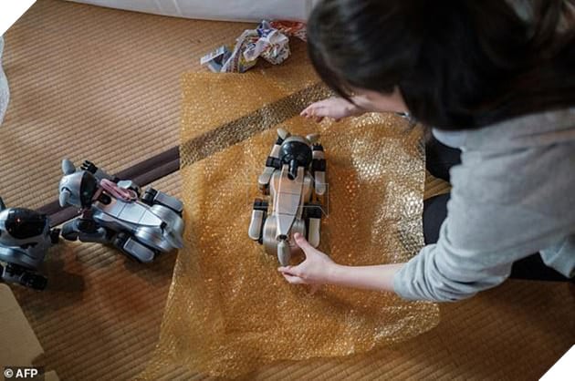 Kỳ lạ ngôi chùa Nháºt Bản làm Äám tang cho chó robot: máy móc cÅ©ng có linh há»n - Ảnh 3.
