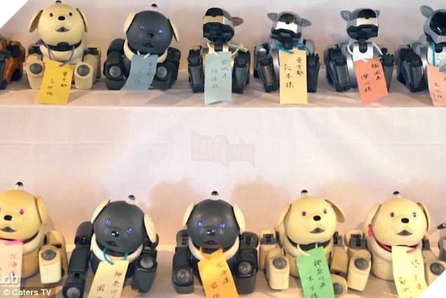 Kỳ lạ ngôi chùa Nháºt Bản làm Äám tang cho chó robot: máy móc cÅ©ng có linh há»n - Ảnh 1.